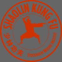 Shaolin kung fu